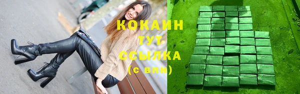 Альфа ПВП Инта