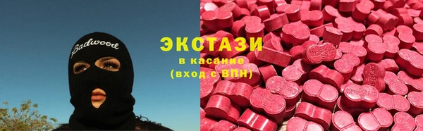 apvp Каменка