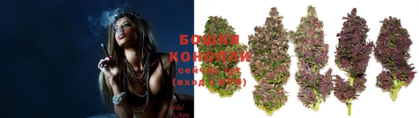 крисы Каменск-Шахтинский
