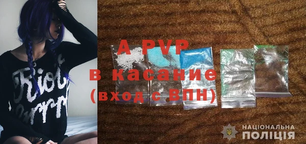 apvp Каменка