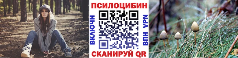 Купить где  Ковылкино  Галлюциногенные грибы мицелий 